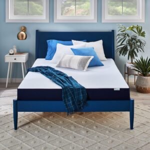 Sleep Innovations Marley Cooling Gel Memory Foam Mattress Review