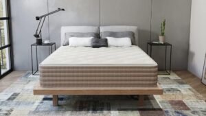Eco Terra Twin Latex Hybrid Mattress Review