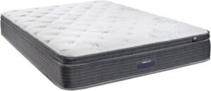 Richmond 11” Euro Top Waterbed Mattress Review