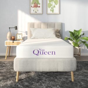 NapQueen 8 Inch Twin Size Mattress Review: Comfort & Support Redefined