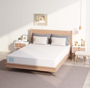 EGO Twin Mattress 6 Inch Green Tea Memory Foam Mattress Review