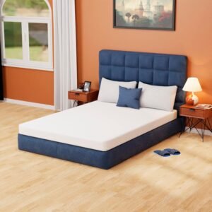 PayLessHere 5 Inch Green Tea Memory Foam Mattress Review