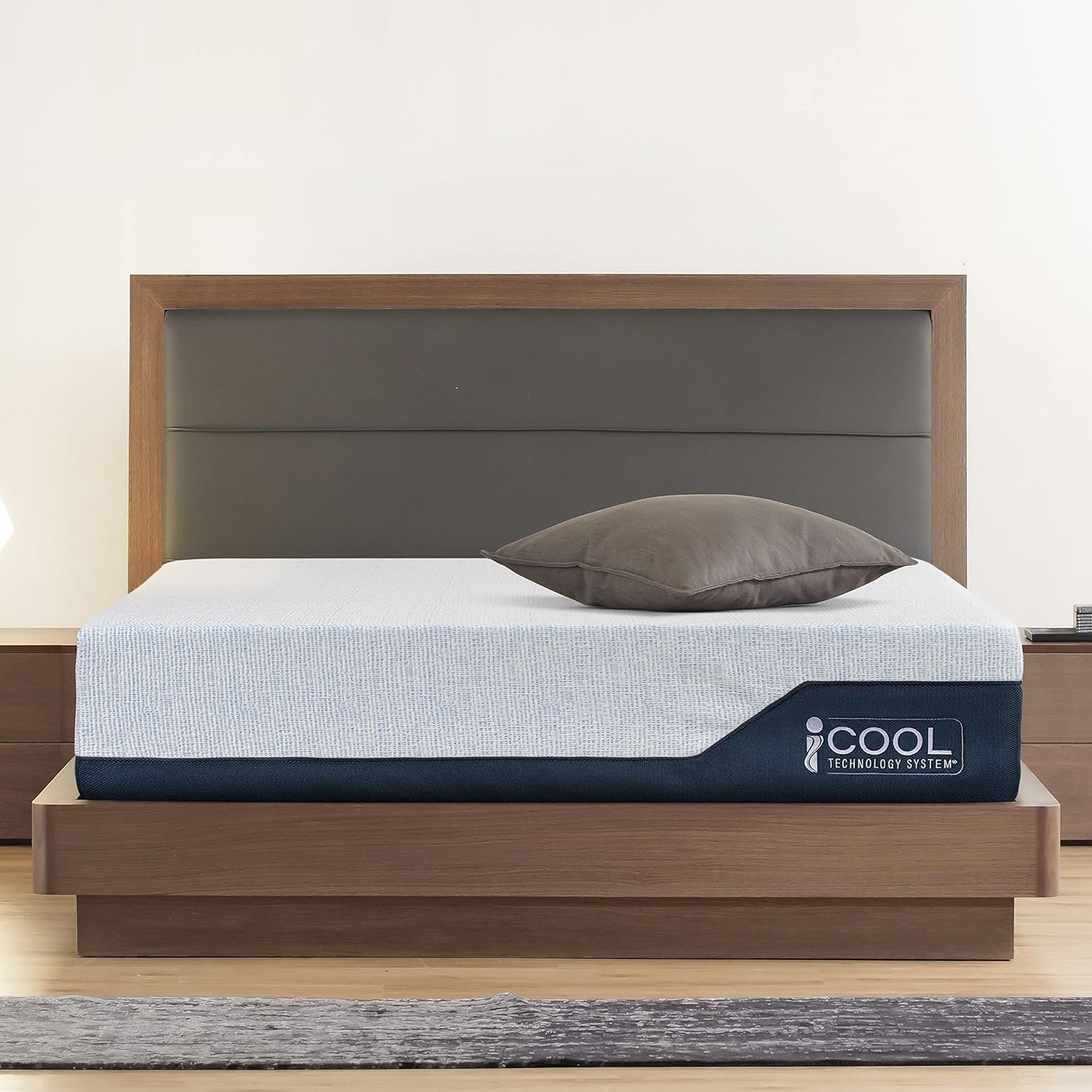 14-Inch Queen Size Mattress, iCOOL Tech and Cooling Gel Infused Medium Plush Memory Foam Mattress, CertiPUR-US Certified, Bed-in-a-Box, White, Queen Size (80" L x 60" W x 14" H)