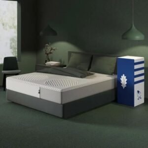 Dream Mattress with Natural Latex: Superior Comfort & Support