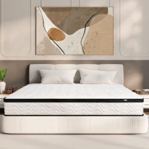 MOLBIUS Queen Mattress 12-Inch: Premium Memory Foam and Pocket Spring Bed