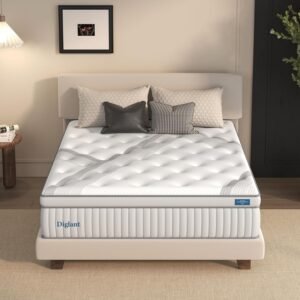 Queen Mattresses – DIGLANT Plush Hybrid Review