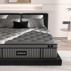 Lechepus King Mattress 14Inch Plush Soft Memory Foam Hybrid Mattress Review