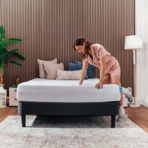 Nestl Green Tea Queen Mattress Review