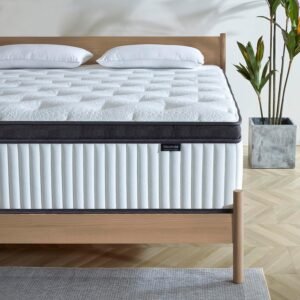 Tegeniss Queen Mattress – Premium Comfort and Support
