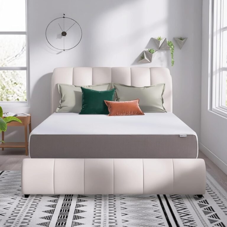 Amazon Basics 12 Inch Queen Memory Foam Mattress Soft Review